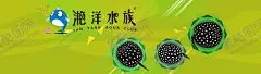 水族观赏鱼店招banner 【酷图网】水族观赏鱼,水族,观赏鱼,双十一,决战双十一,双十二海报,决战双十二,国庆,中秋,五一,家装季,优惠券,秒杀,促销,疯狂大甩卖,周年店庆,周年庆,新店开业,特惠,促销海报,产品活动,周年促销,疯狂促销,购物狂欢节,年终特惠,年终大促,年终盛典,电商促销,双十一海报,活动海报,双十一特惠