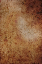 webp (37)