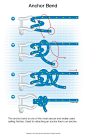 Anchor Bend #knotting #knotwork #knots: 