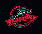 Crocodile 鳄鱼 鱼 小鳄鱼 凶猛 插画 剪影 商标设计  图标 图形 标志 logo 国外 外国 国内 品牌 设计 创意 欣赏