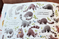 Find and show. Animals : Children book "Find and show. Animals"Published by Clever Media Group, 2016