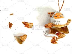 圣诞节装饰在孤立的白色背景与复制空间