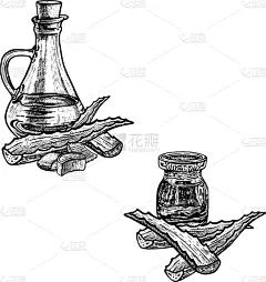 芦荟,草图,动物手,草药,食用油,轮廓,白色,黑色,式样,绘制