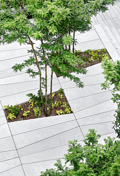 Yuisa采集到景观-植物池、花园