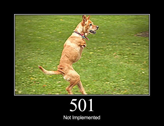 501 Not Implemented:...