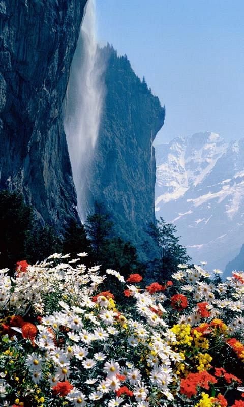 Waterfall & Flowers,...