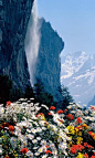 Waterfall & Flowers, Switzerland: 