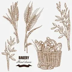 小麦与面包素描免抠png素材_新图网ixintu.com