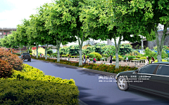 典尚设计市政三维采集到道路绿化效果图