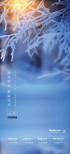 一只大胖鱼采集到大雪