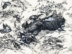 007eQV99ly1h94telg9yfj31t41cuhdt.jpg (2344×1758)