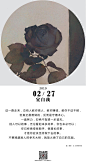 星期五治愈星球