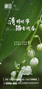绿色传统节日清明清明节海报 (1)