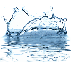 Doudier采集到水珠