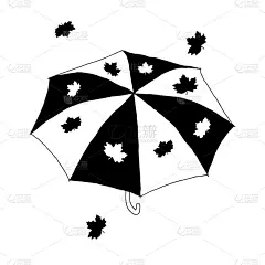 美丽的手绘黑色和白色时尚矢量插图的伞与枫叶孤立在白色的背景