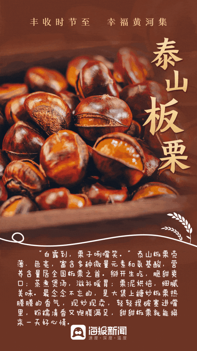 动态海报丨丰收时节至 幸福黄河集 - 海...