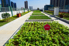 一只红鲸鱼-采集到菜地/家庭农场/大棚种植