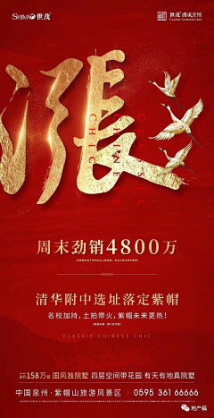 Keven8888采集到热销 · 单图