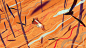 扁平插画__素色  _T2020525  _NEW