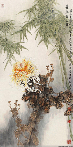 com采集ho5azlsr采集到画张玉明工笔画-孔雀采集h