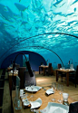 马尔代夫的水下餐厅，在这儿吃饭， 抬头就能看见鱼群…