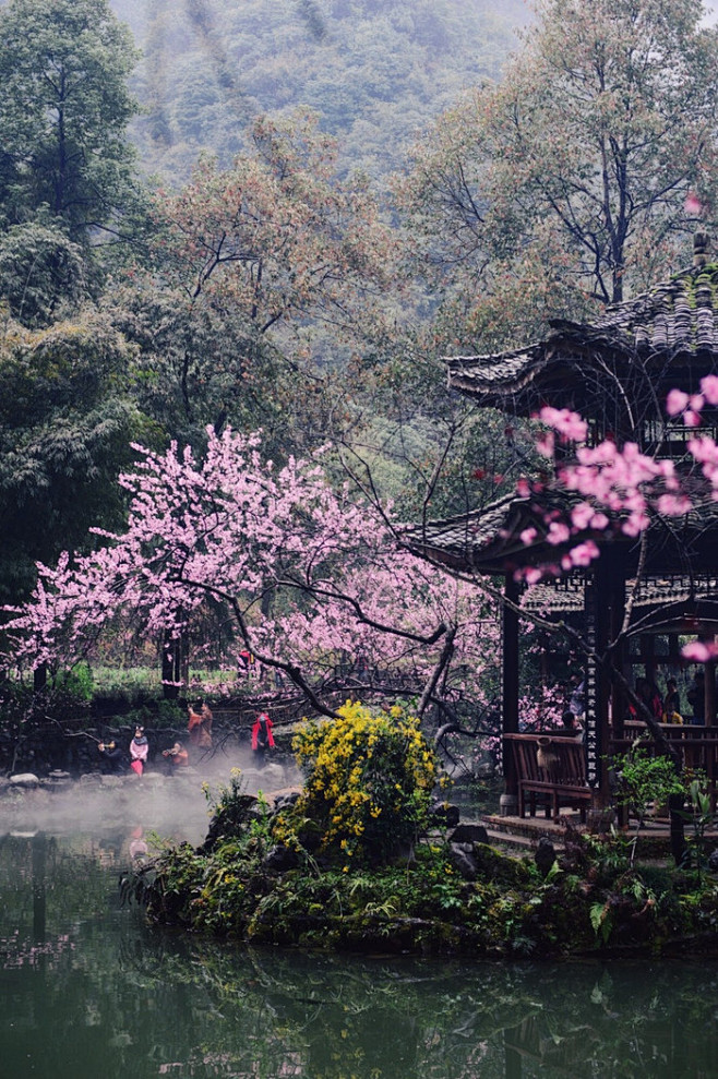 酉阳桃花源景区4