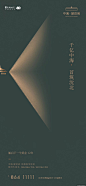 高端地产广告
