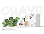 Brand design of CHAYO skin care Packaging web design