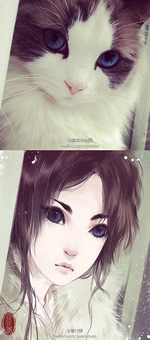 萌物拟人插画古风图片分享 - 插画图片_...