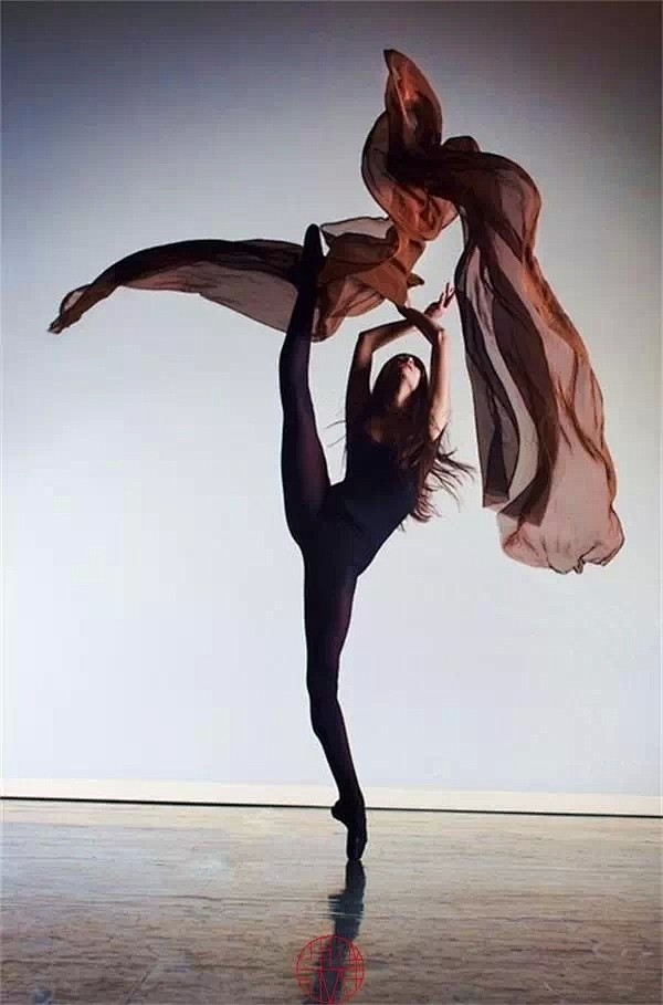 最美的姿势：舞蹈展现人体曲线力量与美_组...