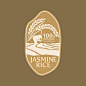 Vector paddy rice premium organic natural product banner logo vector design