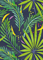 Rain Forest : Tropical floral patterns I did a while ago following the trendy craze :)