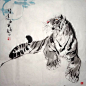 (48) Pinterest
