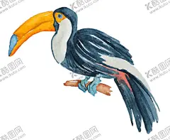 清新水彩植物花朵插画 【酷图网】小清新,夏日,热带,水彩,绘画,涂鸦,绿叶,树叶,植物,海滩,龟背竹,装饰画,花朵,花卉,创意,装饰图案,鸟雀,火烈鸟,鸟