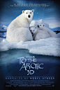 To the Arctic 3D (2012) #记录片#