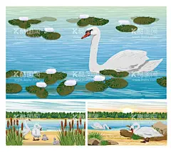 手绘天鹅系列插画  - 源文件下载【酷图网】天鹅包装插画,鹅插画,鹅,插画,装饰画,圆形画,婚恋,爱情,北欧,小清新,唯美,餐厅画,