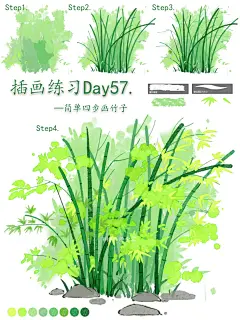 零基础插画教程｜简单四步画竹子！ - 小红书