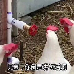 做设计的周某采集到GIF