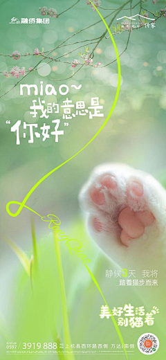 喵仙人721采集到新