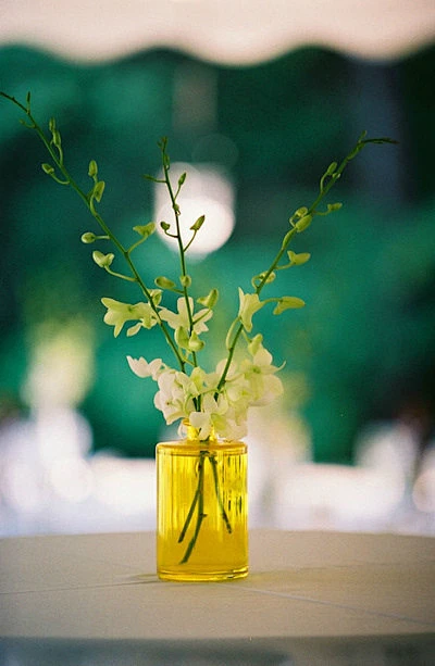 活着注定要经历，生命中有太多的不尽人意，更无法维护每一个尽善尽美，既然如此，不如怀一颗宁静心，给生命一个浅释，还它一份淡泊！