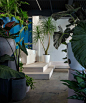 Greenery Unlimited Design Store [Brooklyn] : Greenery Unlimited is one of the first biophilic design store in the world, connecting a shopping space with natural environment. Surrounded by leaves and exotic plants, the visitors are invited to stroll aroun