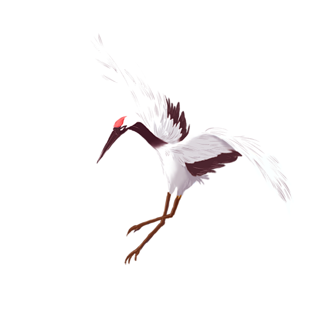 鹤