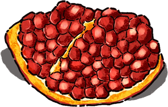 复古油画风秋季静物花卉插画B-石榴