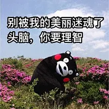 熊本熊表情包－堆糖，美好生活研究所