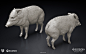 Horizon Forbidden West – Peccary