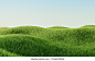 Green grass field. Summer landscape scene mockup. 3d illustration 库存插图