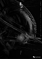 第57届金马奖主视觉海报曝光 : 由负责「金马56」主视觉设计的JL DESIGN团队再度操刀！