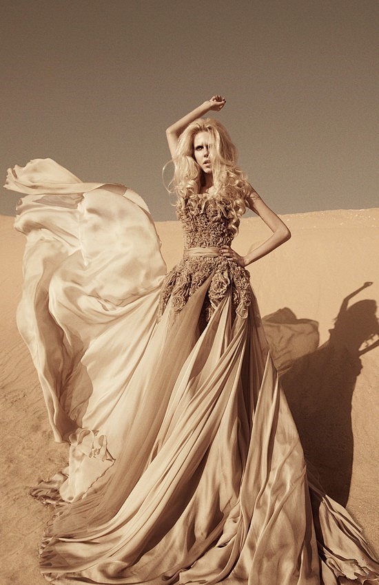 Shady zein eldine — ...