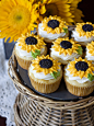 “ lemon sunflower cupcakes ”