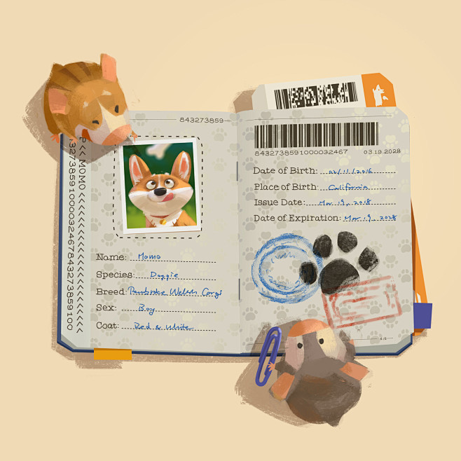 Passport, Lynn Chen ...